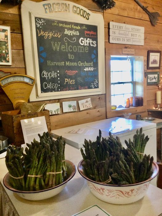 Welcome to our store!