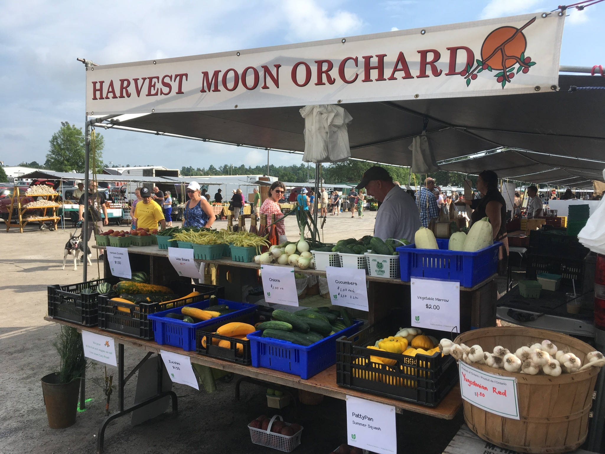 Randy at the Carp Farmers' Market.